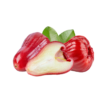 Roi đỏ An Phước