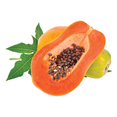 Đu đủ ruột đỏ