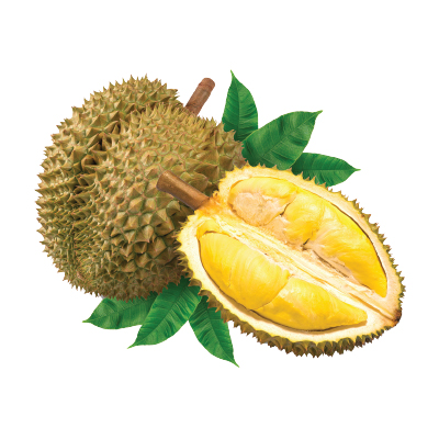Sầu riêng (1.5-3.5kg/quả_3 múi )