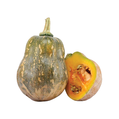 Bí đỏ