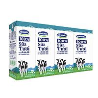 Sữa tươi TT không đường 180ml đàn bò
