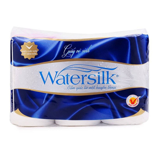 Giấy VS WaterSilk gói 12*12