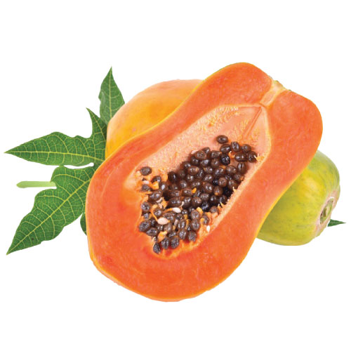 Đu đủ ruột đỏ (0.7-1.5kg/quả)
