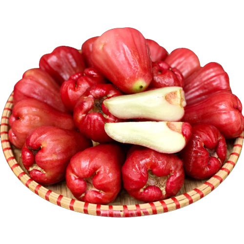 Roi đỏ An Phước 8-12 quả/kg,
(Không áp dụng tỉnh)