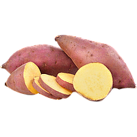 Khoai lang giống Nhật