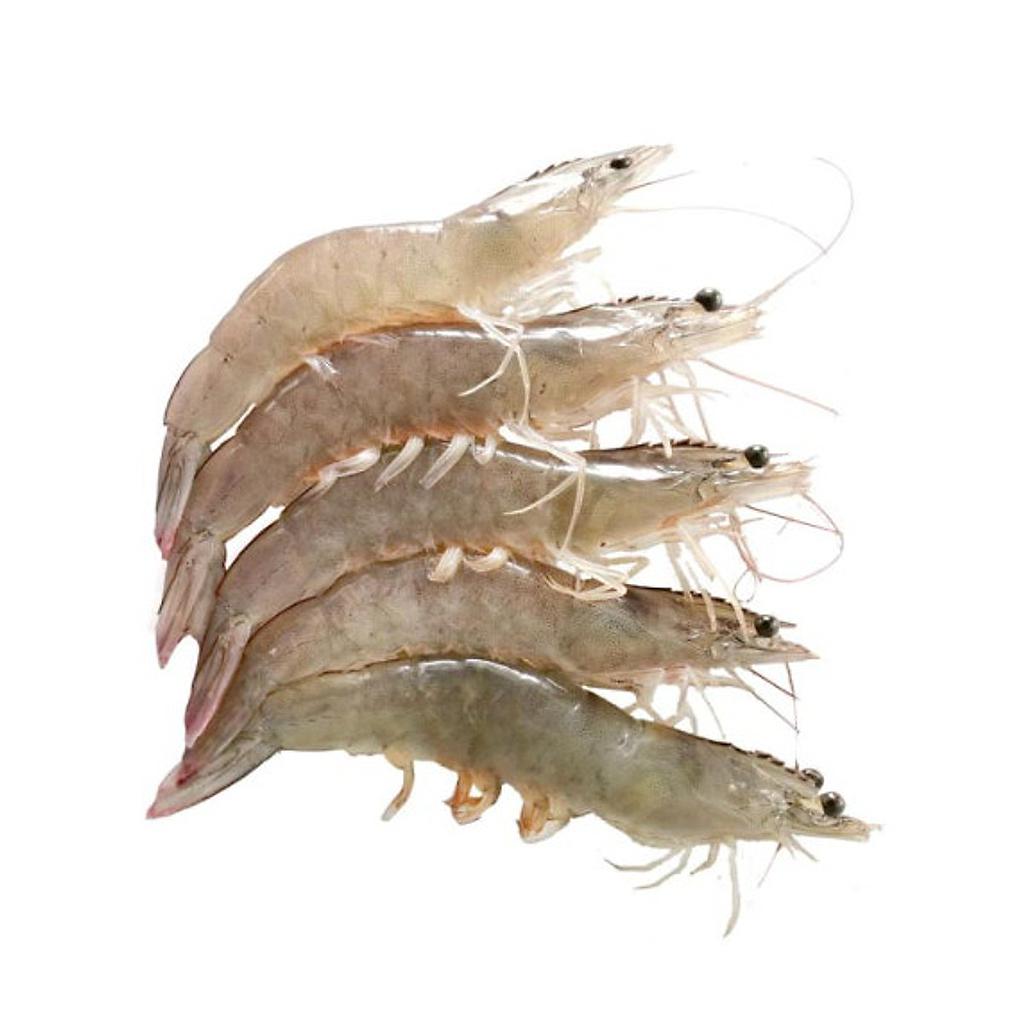 Tôm thẻ (70-80 con/kg)