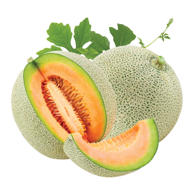 Dưa lưới Melon giống Đài Loan